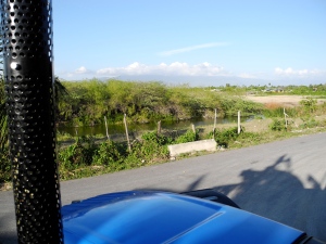 view of La Cabrita from the tractor ride