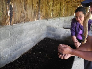 Learning about vermiculture (fertilizer from earthworms) in San Jose de Ocoa