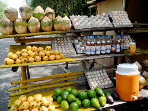 Another trip, another roadside stand - this one features mangoes, coconuts, eggs, and avocados. 